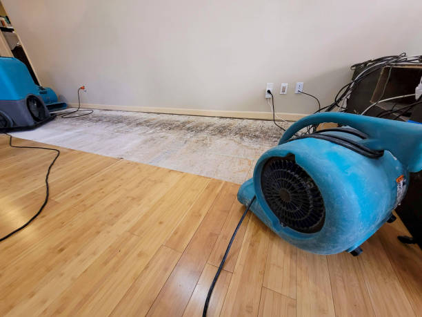 Professional Sewage Cleanup technician working in Victoria, TX